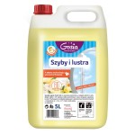  Płyn Szyby i lustra kwiat egzotyczne cytrusy 5L GOSIA